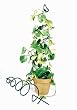 Spiral Flowerpot Trellis