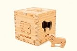 Shape Fitting Cube  Safari 