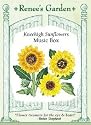 Kneehigh Sunflower Seeds - Musicbox