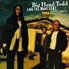 Image of album by Big Head Todd & The Monsters