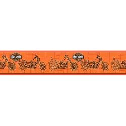 Harley Davidson Orange Border