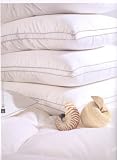 Allergy-Shield s Anti-Dustmite Microfiber 300 TC Pillow,set of two pillows