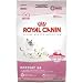 Royal Canin Feline Health Nutrition Babycat 34