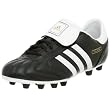 Men's adidas Telstar TRX FG