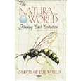 Insects of the World Playing Cards (The Natural World Playing Card Collection) by Gintaras Meskauskas