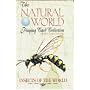 Insects of the World Playing Cards (The Natural World Playing Card Collection)
