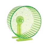 GREEN - Biddie Buddies Excercise Wheel