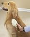 Ionic-Ultrasonic Waterless Pet Brush