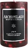  : Archipelago Botanicals Excursion Collection Candle Pillar ( 3 in L x 2 in W ) (Duo Pillars)