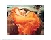 Flaming June by Frederic Leighton - Fine Art Print / Poster - 14.00 x 11.00