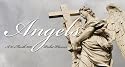 ANGELS 2010 Pocket Planner Calendar