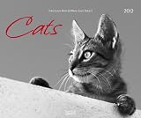 Cats 2012. PhotoArt Kalender