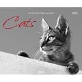 Cats 2012. PhotoArt Kalender