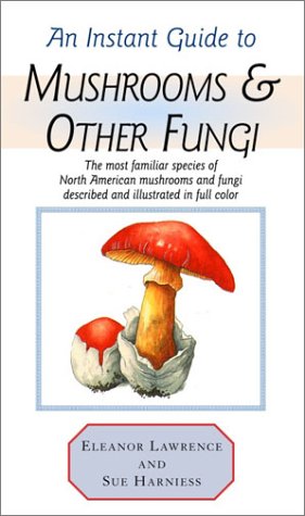 Mushroom