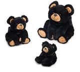 Baby Smokey Black Bear