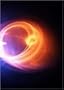 Black Holes