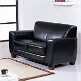 Lucas Leather Match Loveseat Upholstery: Black