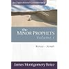 Minor Prophets, The: Hosea-Jonah (Expositional Commentary)