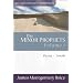 Minor Prophets, The: Hosea-Jonah (Expositional Commentary)