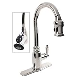 Danze Opulence Pull-down Chrome Kitchen Faucet