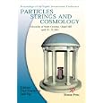 Particles, Strings and Cosmology: Proceedings of the Eighth International Conference, University of North Carolina,... by Paul Frampton and Jack Ng