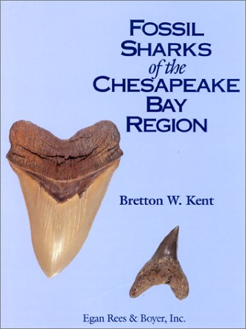 Fossil Sharks of the Chesapeake Bay Region