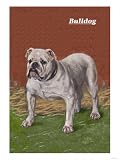 White Bulldog Animals Giclee Poster Print, 12x16