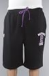 DGK The Everything 2 Gain Shorts in Black,Shorts for Men