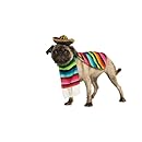 Rubies Costume Halloween Classics Collection Pet Costume, Medium, Mexican Serape
