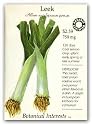 Botanical Interests 3057 Leek King Richard Organic Seed Packet