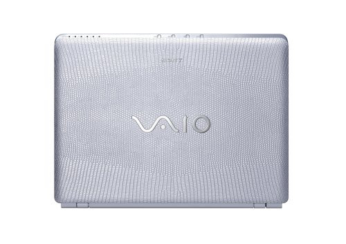 Sony VAIO VGN-CR520E/J 14.1-inch Laptop (2.1 GHz Intel Core 2 Duo T8100 Processor, 3 GB RAM, 320 GB Hard Drive, Vista Premium) Silver