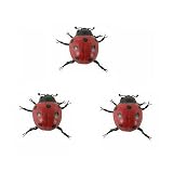 LADYBUG マグネット