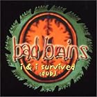 I and I Survived by Bad Brains
