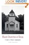 Black Churches in Texas: A Guide to Historic Congregations (Centennial Series of the Association of Former Students, Texas A&M University)