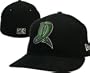 Dayton Dragons Cap by New Era
