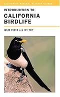 Introduction to California Birdlife (California Natural History Guides)