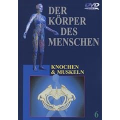 Der Körper des Menschen 6 - Knochen und Muskeln