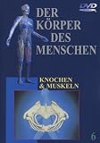 Der K�rper des Menschen 6 - Knochen und Muskeln - 