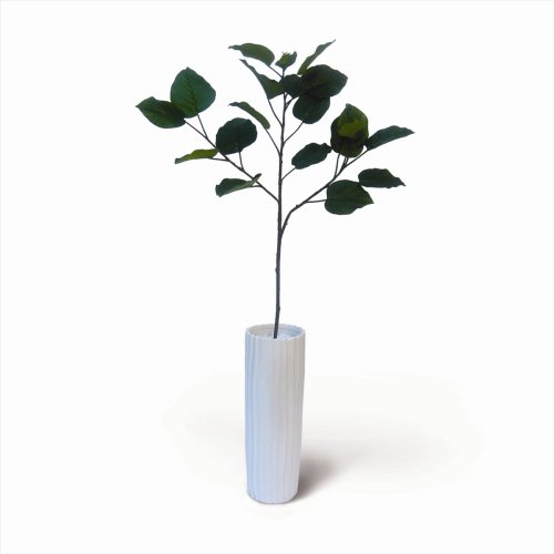 《人工観葉植物・造花》Ficus Umbellata(フィカス ウンベラータ)
