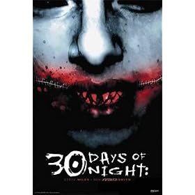 Poster - 30 jours de nuit - Affiche - 61x91 cm - Roul�e