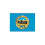 Boston City Flag 3ft x 5ft Nylon