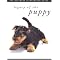 Wonderful Books about Dogs