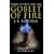 Harry Potter and the Goblet of Fire (Book 4): Adult Edition
