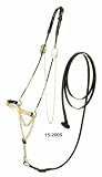 ROYAL KING Engraved Nose Arabian Cable Show Halter with Lead