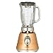 Kitchen & Housewares : Oster Coppertone Beehive Blender - 4128