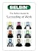 The Belbin Guide to Succeeding at Work