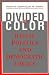 Divided by Color: Racial Politics and Democratic Ideals (American Politics and Political Economy Series)