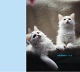 Cats & Kittens (Paperstyle Address Books)