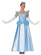 Adult Super Deluxe Cinderella Costume - Womens Large