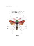 Illustration: A Theoretical & Contextual Perspective (Advanced Level)